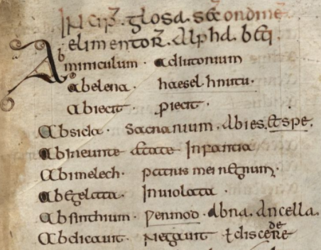 Medieval manuscript text