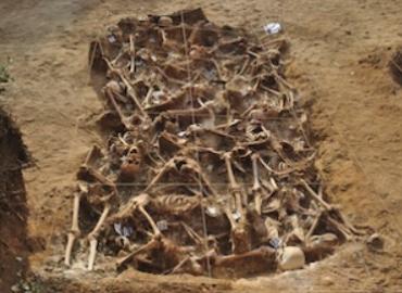 Open mass grave full of skeletons