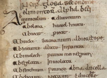 Medieval manuscript text