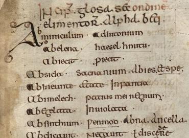 detail from a medieval manuscript